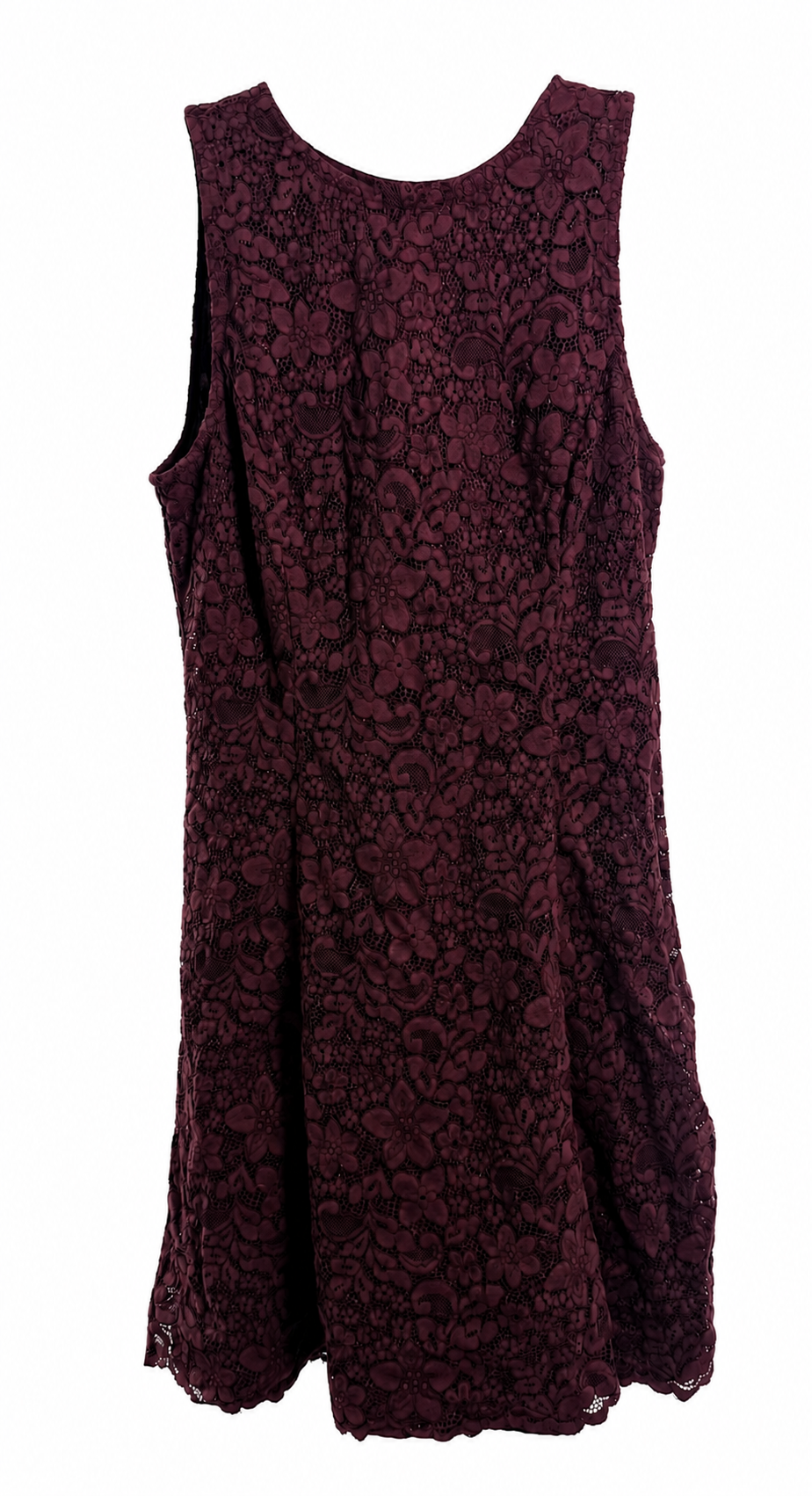 Ann Taylor Burgundy Floral Lace Fit & Flare Dress — Size 8